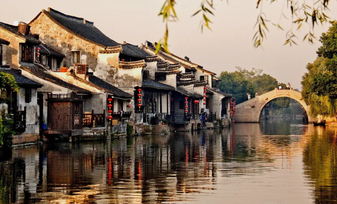 浙江印象,绿意盎然的人间仙境🌿🏞️