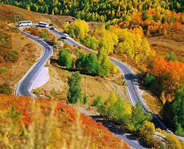 新疆，地理、历史、文化与现状概览